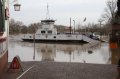 Hochwasser Seligenstadt 18.01.2011 017